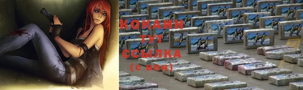 твердый Михайловка
