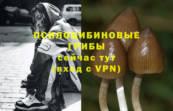 мяу мяу мука Михайлов