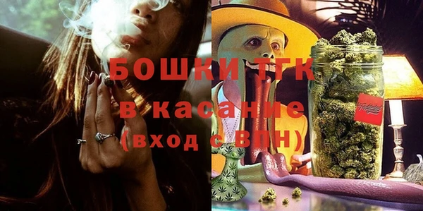 мяу мяу мука Михайлов