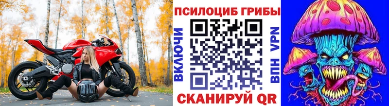 Купить  Сокол  Псилоцибиновые грибы GOLDEN TEACHER 